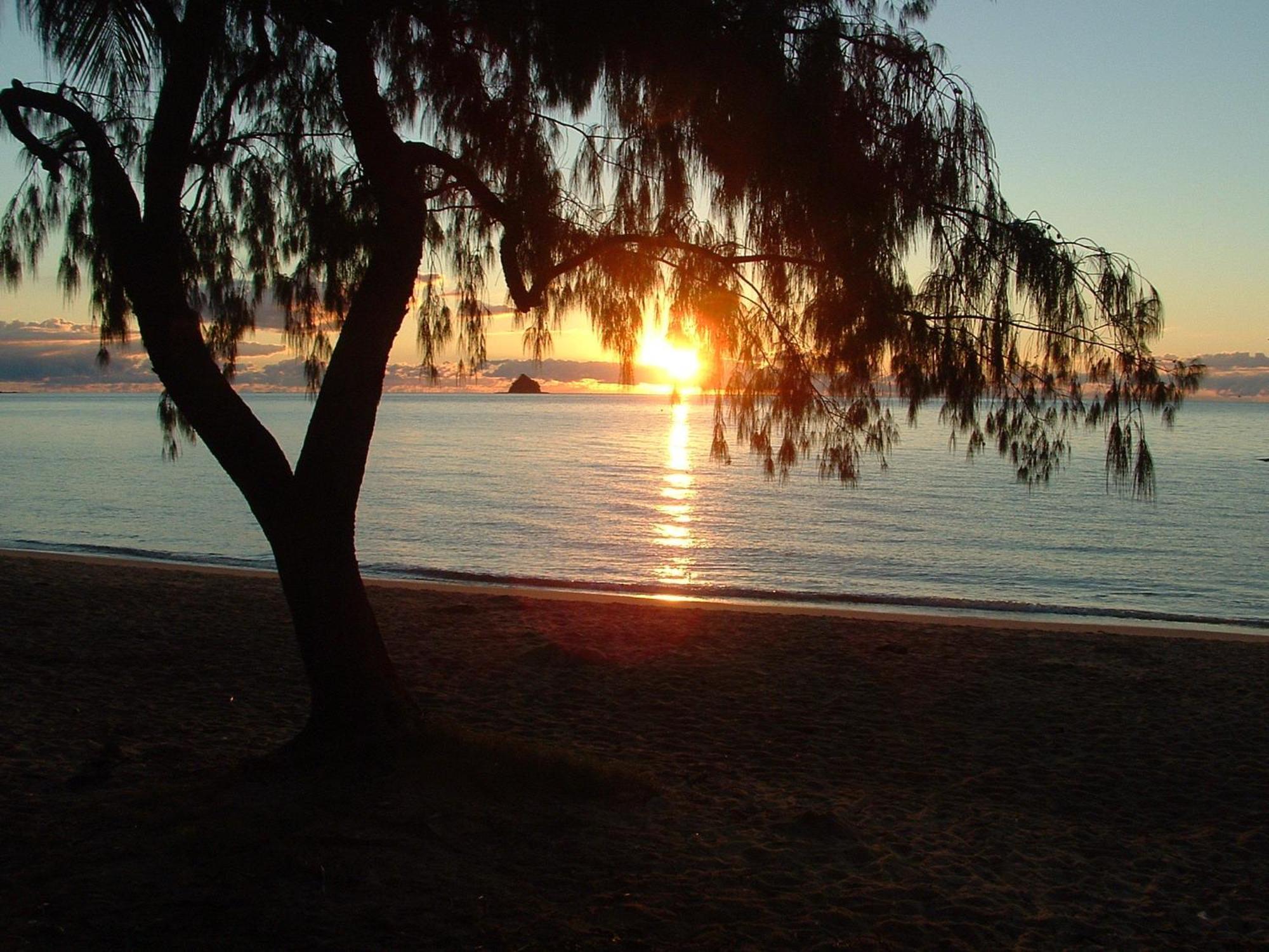 Marlin Waters Beachfront Apartments Palm Cove Exterior photo