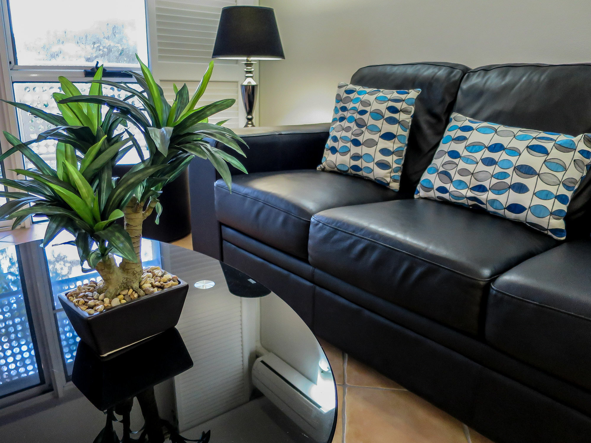 Marlin Waters Beachfront Apartments Palm Cove Exterior photo